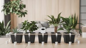 Indoor plant water system